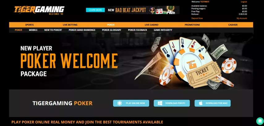 Касса TigerGaming — USDT, Bitcoin, Ethereum, Skrill и Neteller